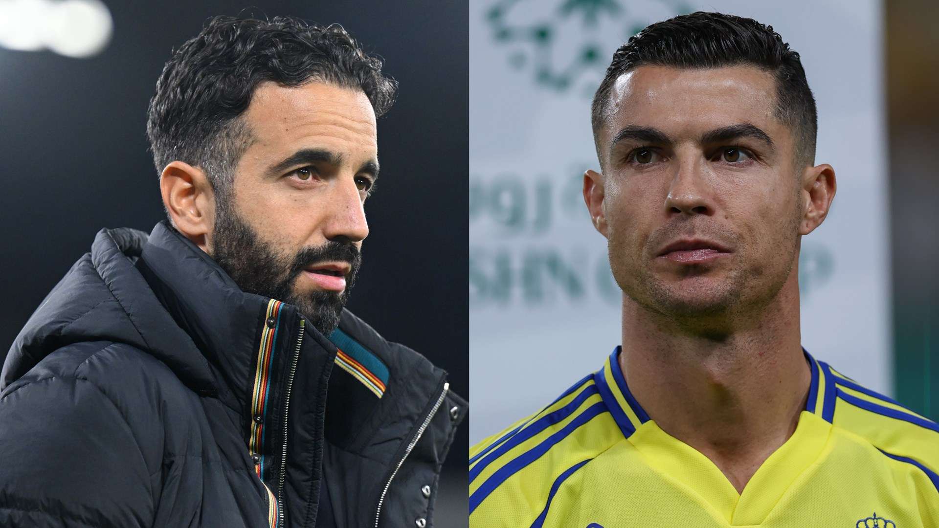 适时地融入 适时地融入